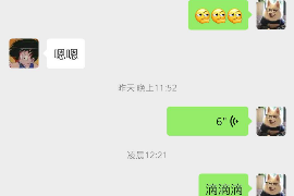 蔡甸企业清欠服务